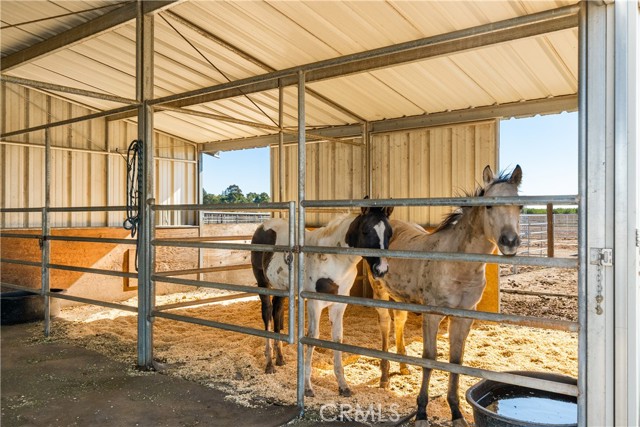 MLS #SN25258094 image #21