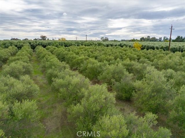 MLS #SN25258694 image #34