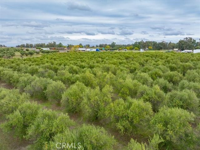 MLS #SN25258694 image #35