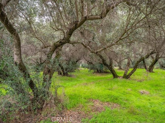 MLS #SN25258694 image #36