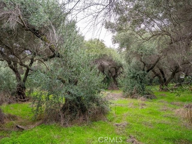 MLS #SN25258694 image #37