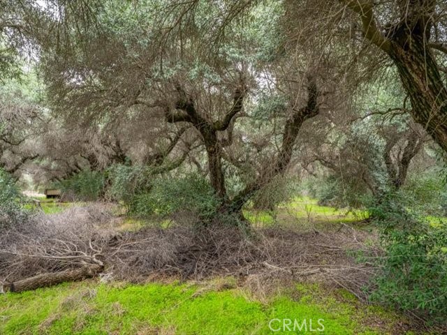 MLS #SN25258694 image #38