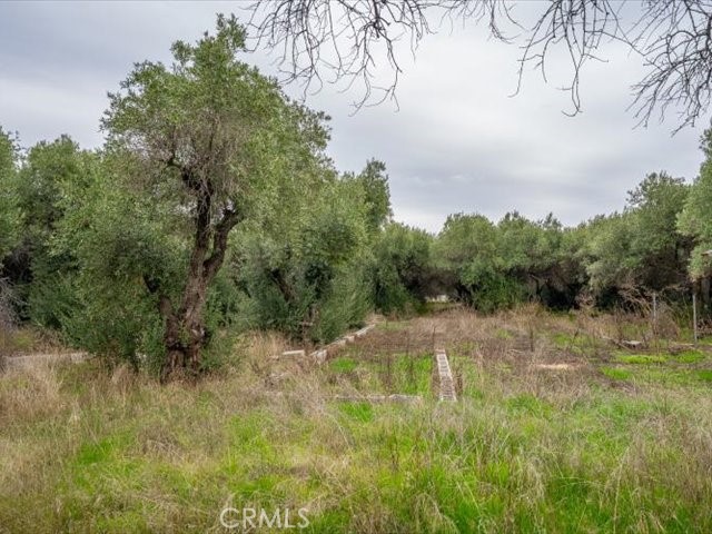 MLS #SN25258694 image #39