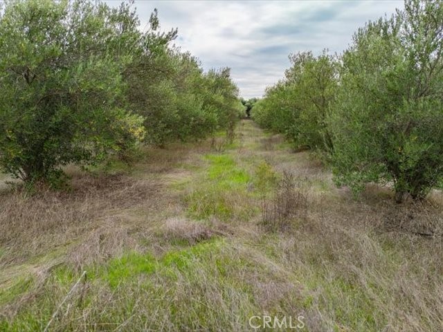 MLS #SN25258694 image #40