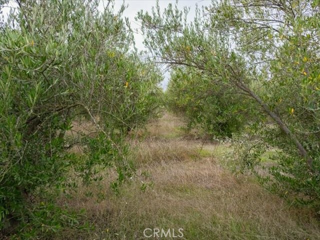 MLS #SN25258694 image #41