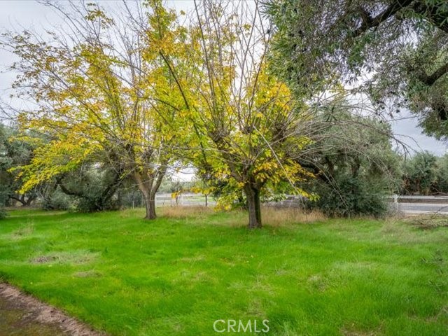 MLS #SN25258694 image #55