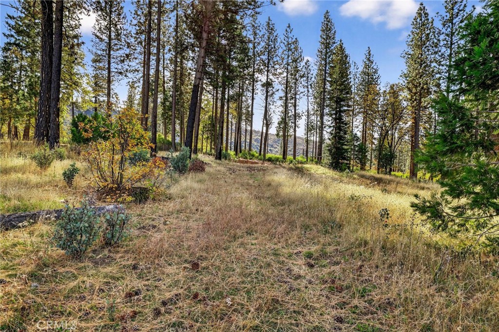 MLS #SN25258958 image #11