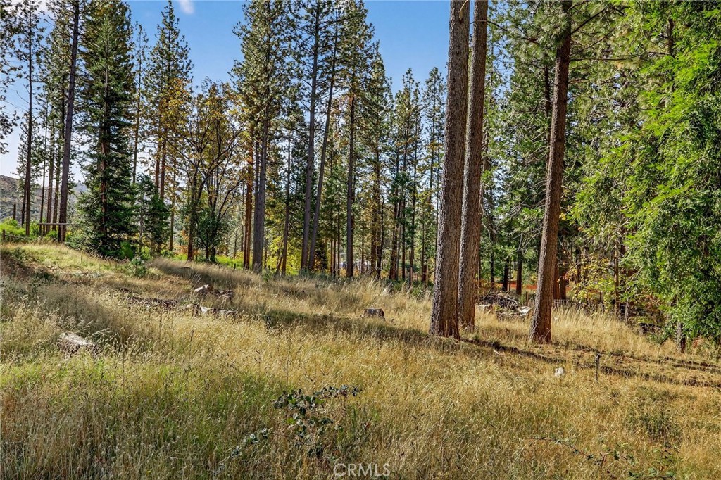 MLS #SN25258958 image #12