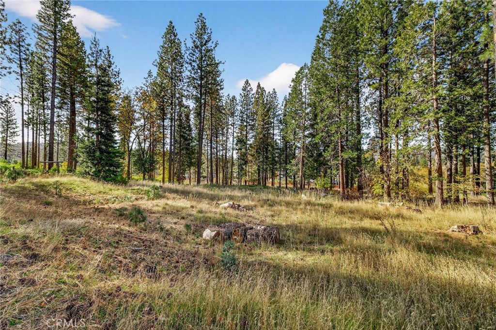 MLS #SN25258958 image #13