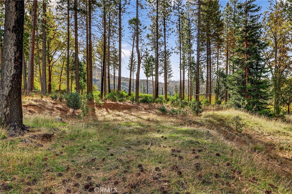 MLS #SN25258958 image #14