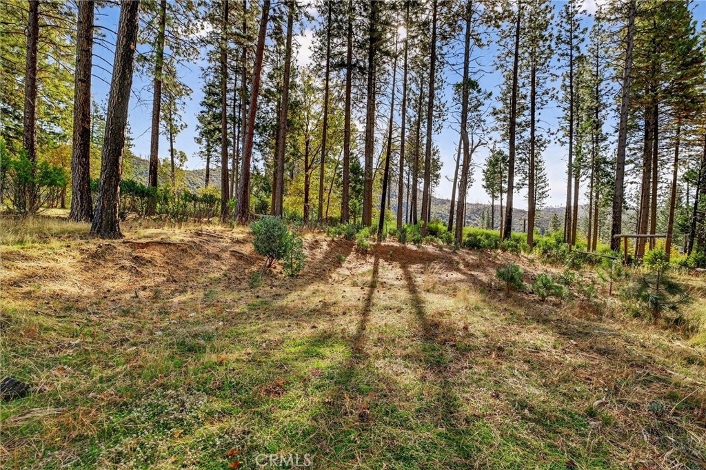 MLS #SN25258958 image #15