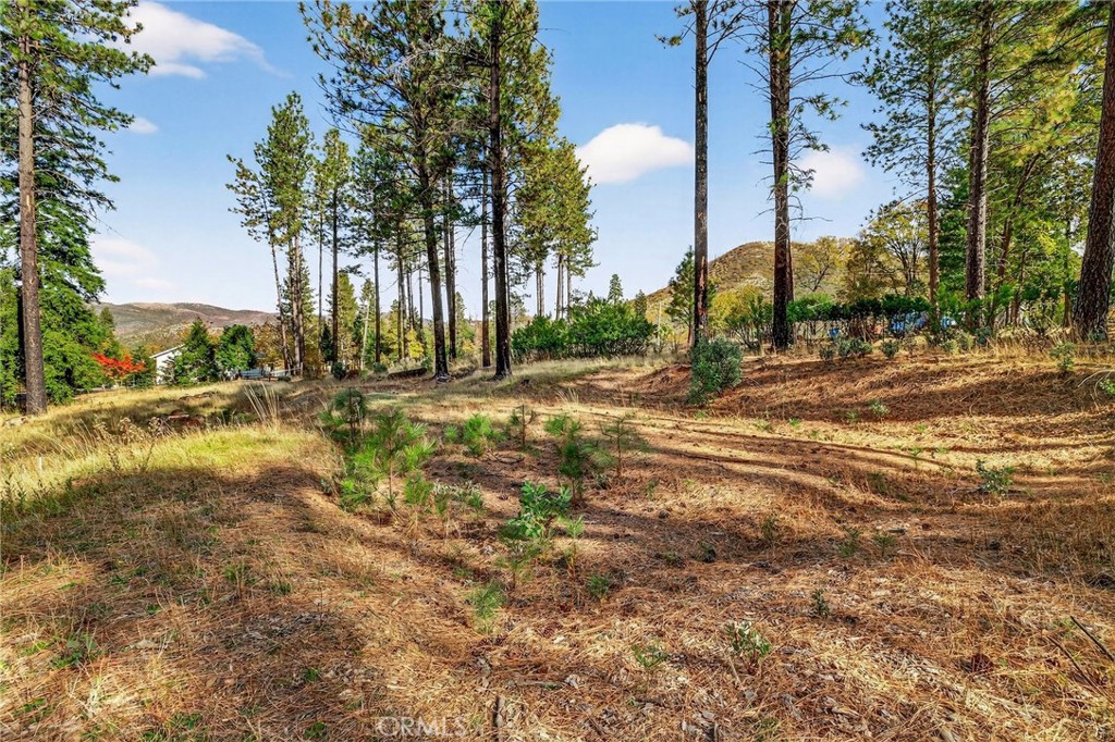 MLS #SN25258958 image #17