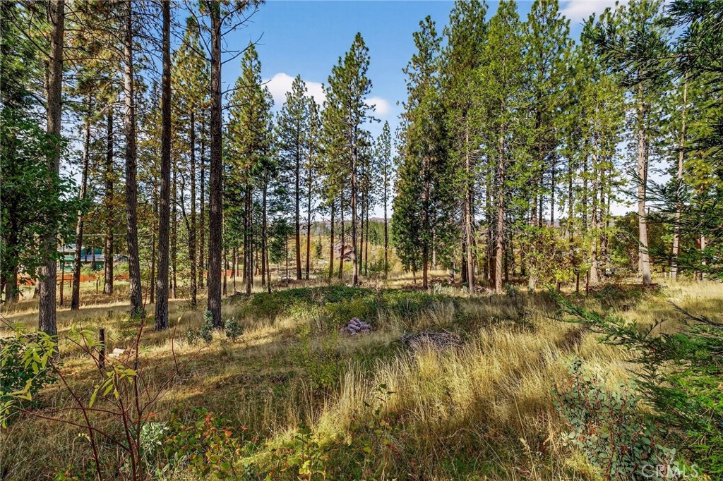 MLS #SN25258958 image #19