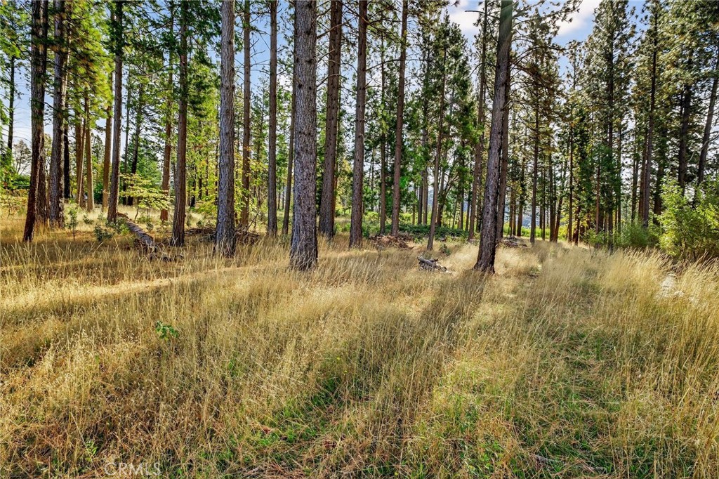 MLS #SN25258958 image #2