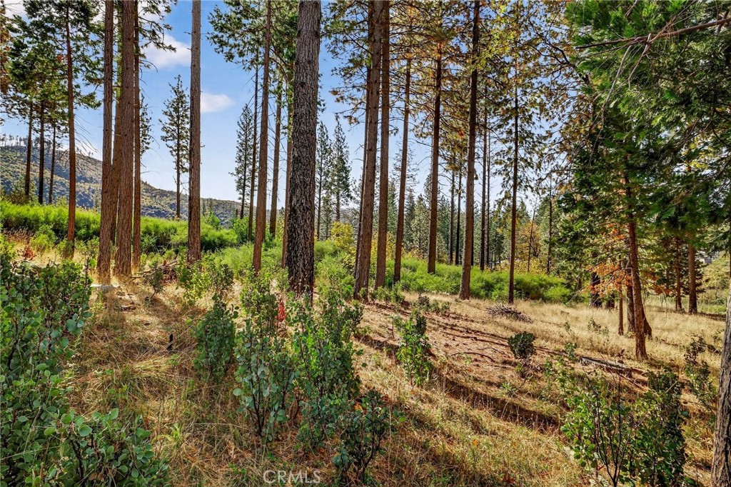 MLS #SN25258958 image #21