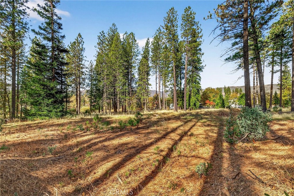 MLS #SN25258958 image #22