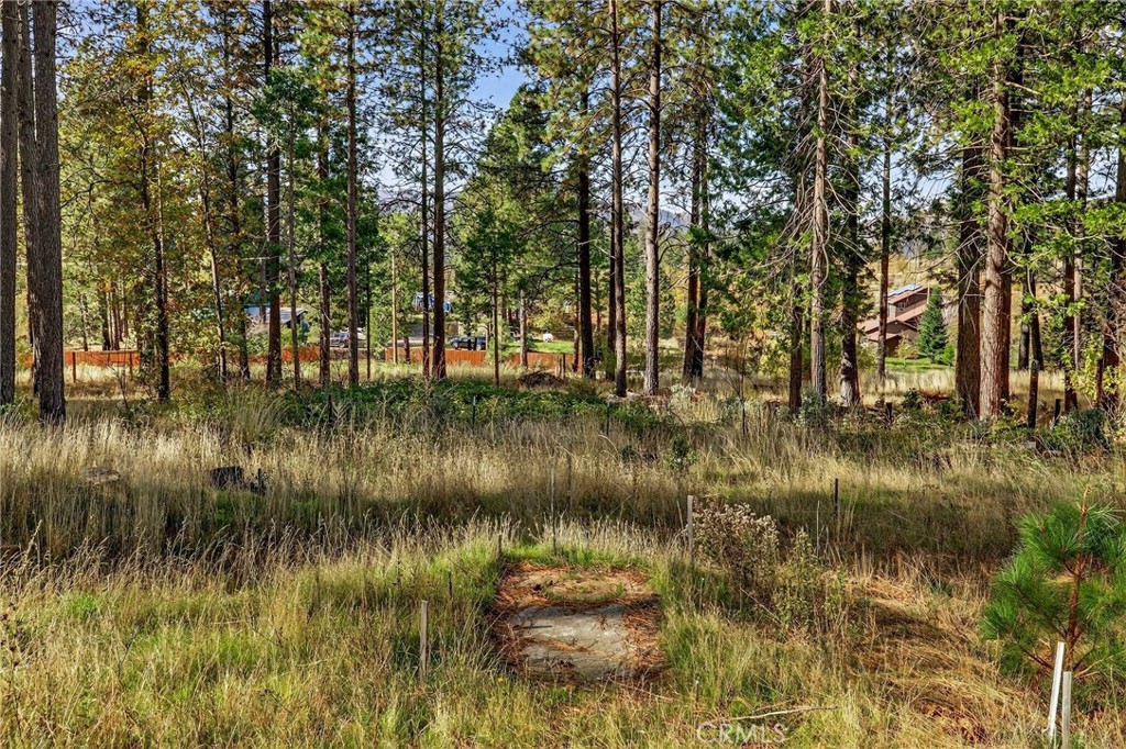 MLS #SN25258958 image #23