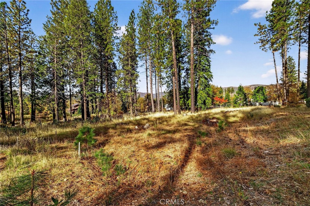 MLS #SN25258958 image #24