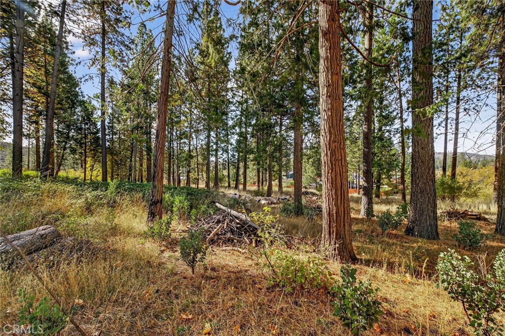 MLS #SN25258958 image #25