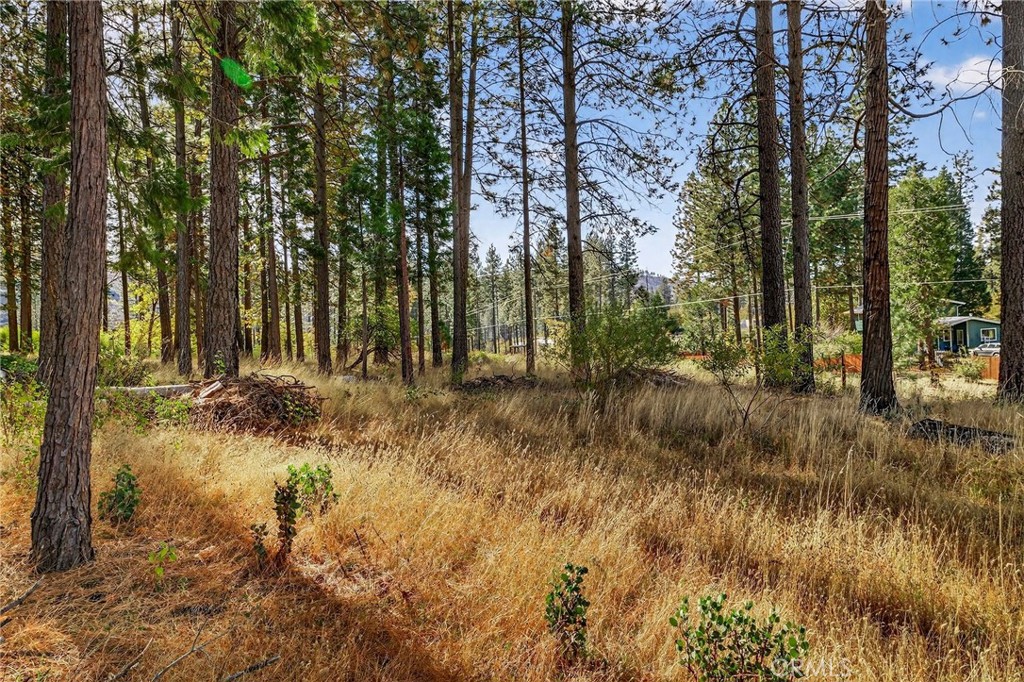 MLS #SN25258958 image #26