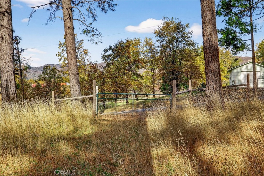 MLS #SN25258958 image #27