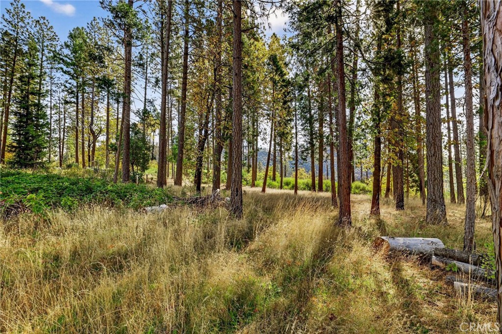 MLS #SN25258958 image #28