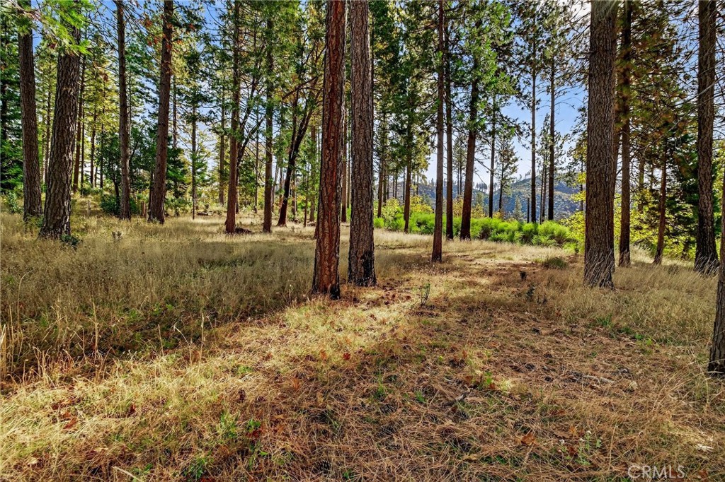 MLS #SN25258958 image #30