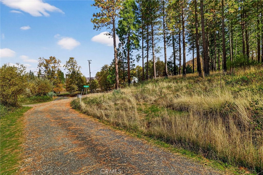 MLS #SN25258958 image #33