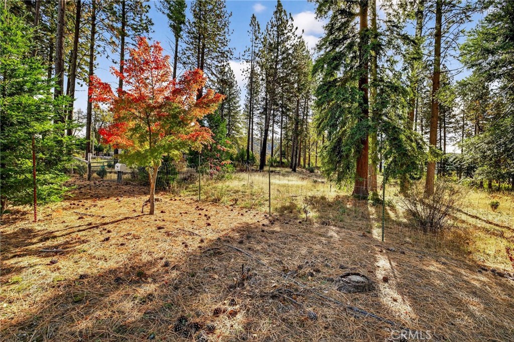 MLS #SN25258958 image #4