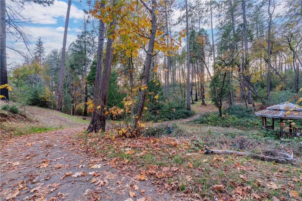 MLS #SN25259858 image #10