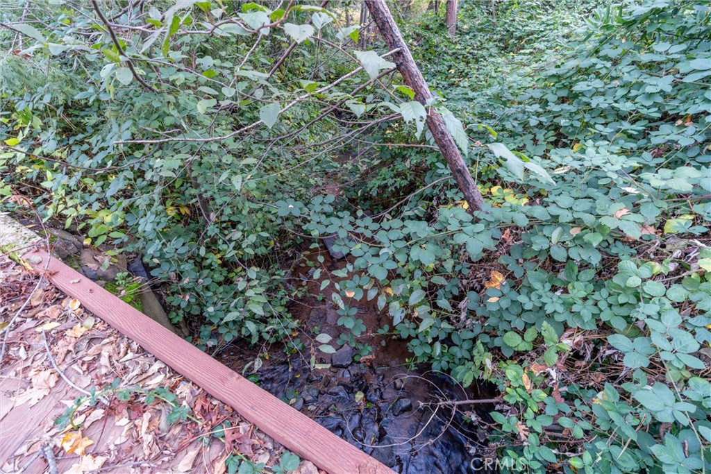 MLS #SN25259858 image #15