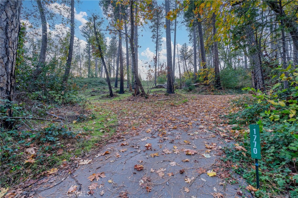 MLS #SN25259858 image #19