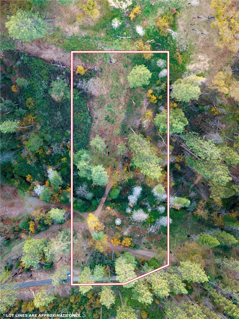 MLS #SN25259858 image #2