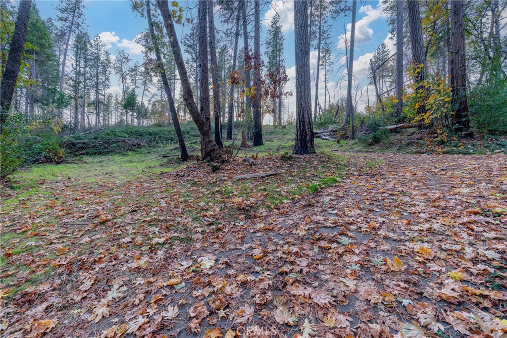 MLS #SN25259858 image #21