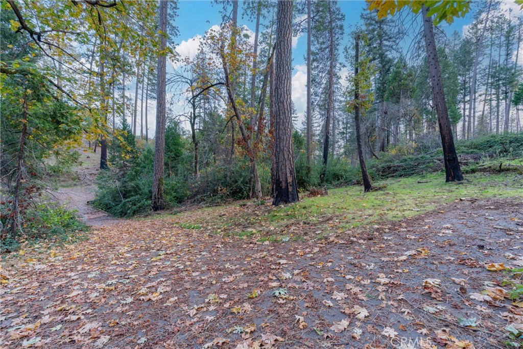 MLS #SN25259858 image #24