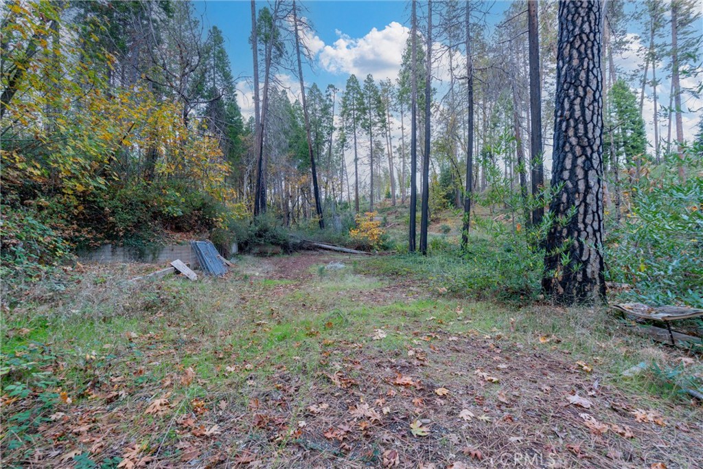 MLS #SN25259858 image #27