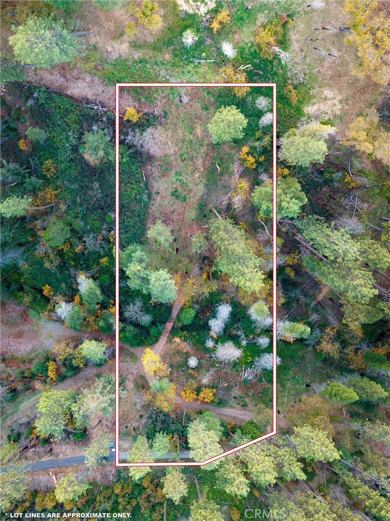 MLS #SN25259858 image #28