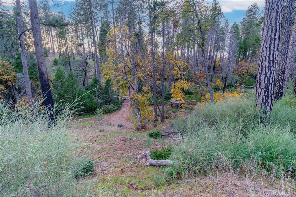 MLS #SN25259858 image #37