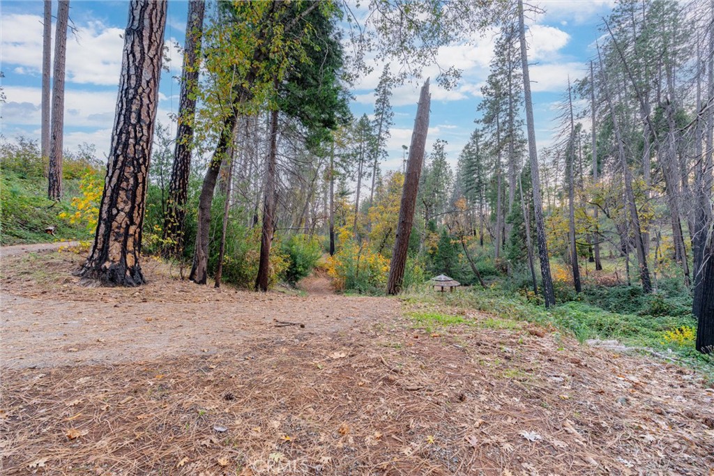 MLS #SN25259858 image #5