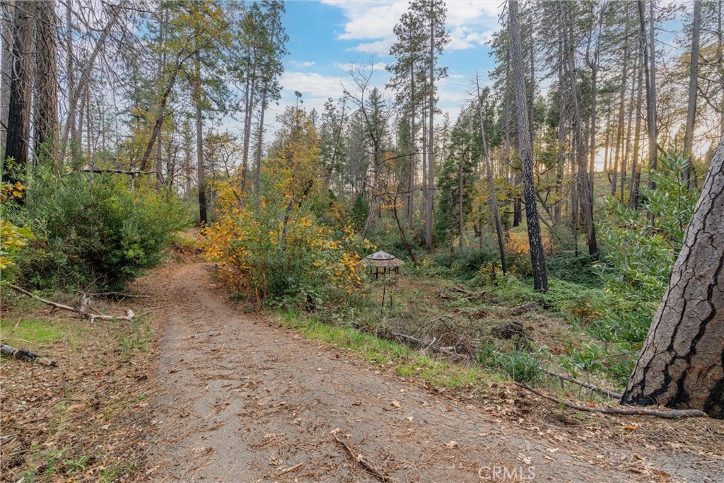 MLS #SN25259858 image #9