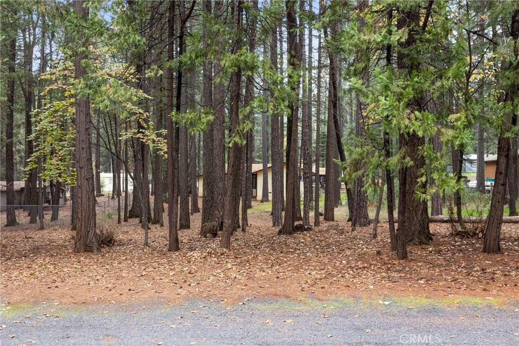 MLS #SN25260779 image #35