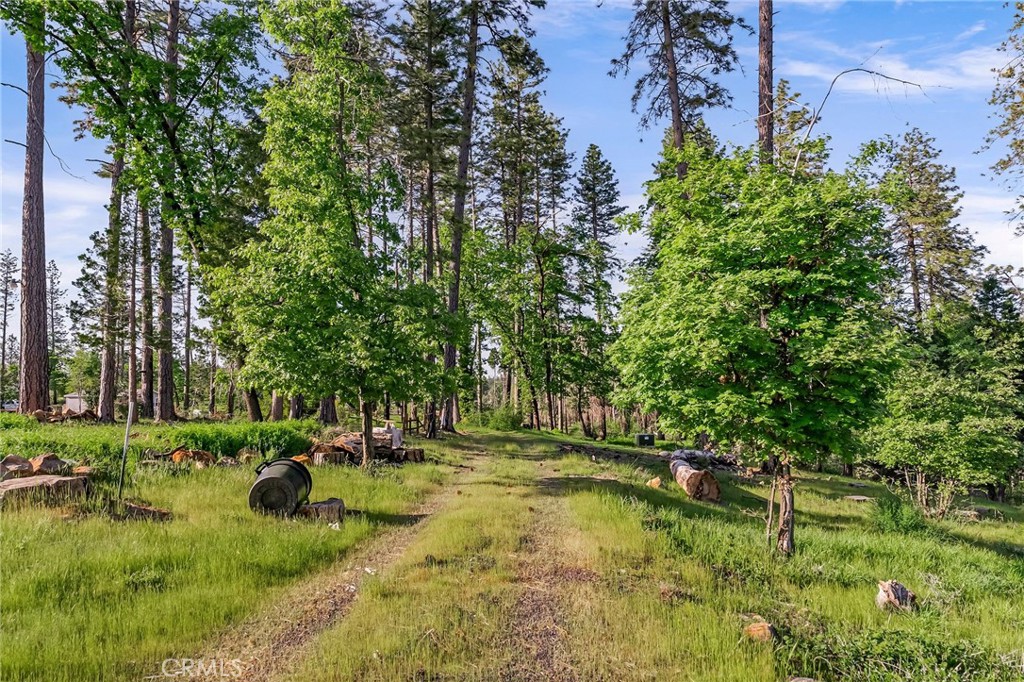 MLS #SN25262307 image #1