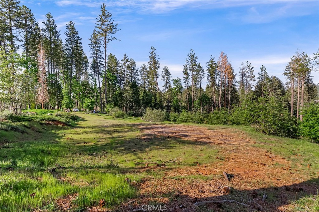 MLS #SN25262307 image #3