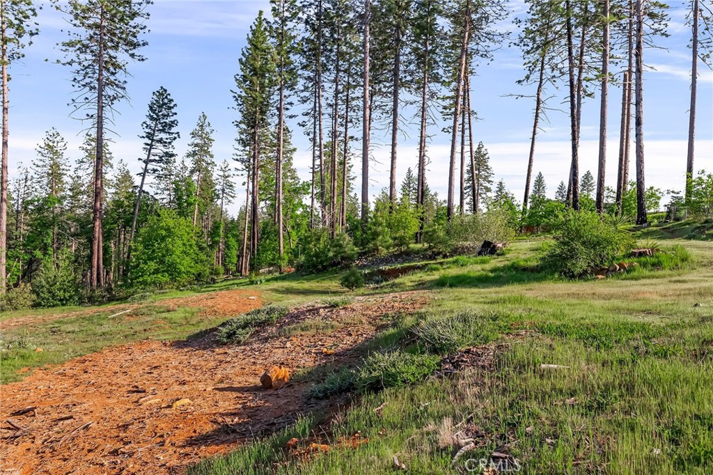 MLS #SN25262307 image #4