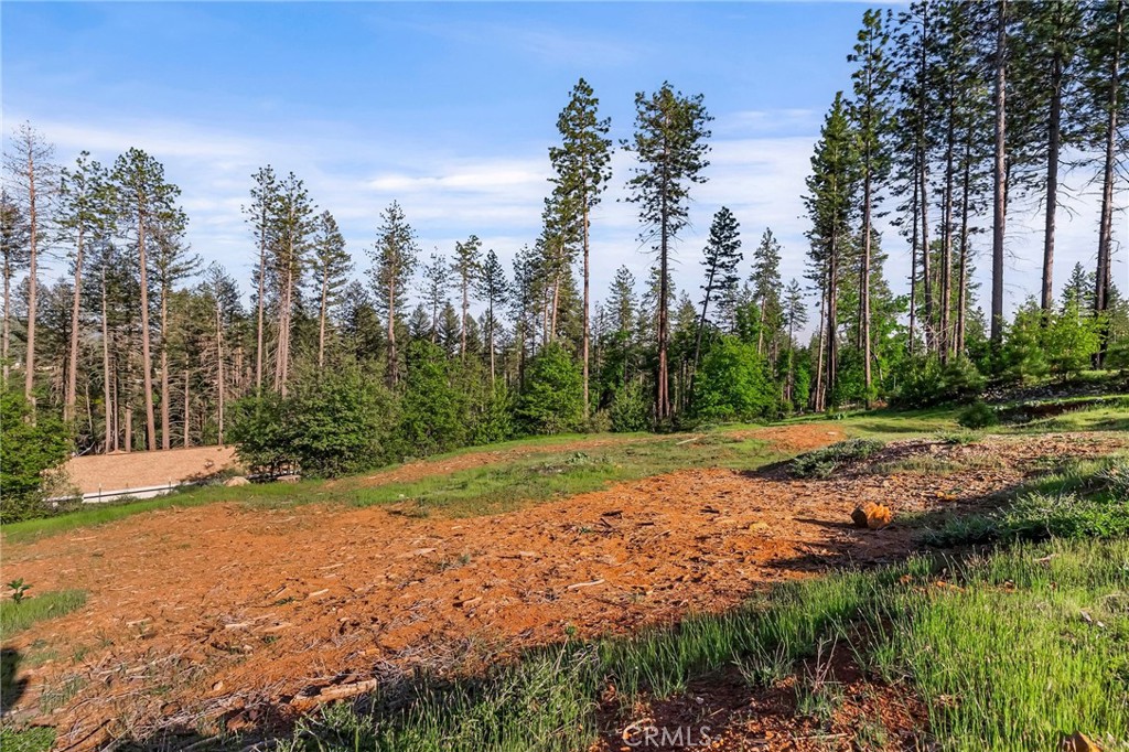 MLS #SN25262307 image #5