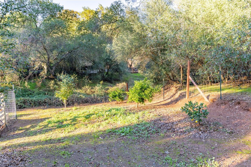 MLS #SN25262939 image #43