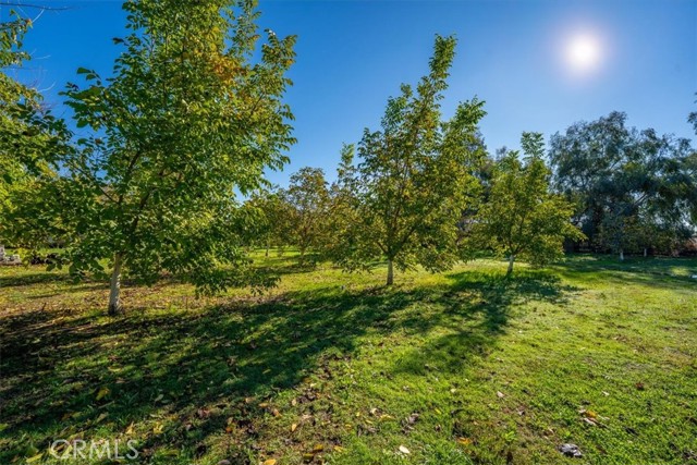 MLS #SN25263272 image #42