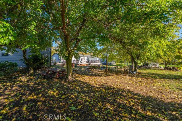 MLS #SN25263272 image #43