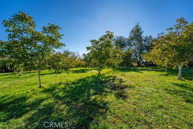 MLS #SN25263272 image #48