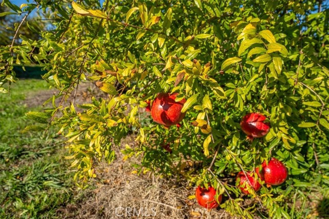 MLS #SN25263272 image #65